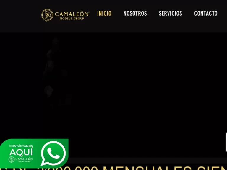 Camaleon Models Group estudio webcam en Colombia