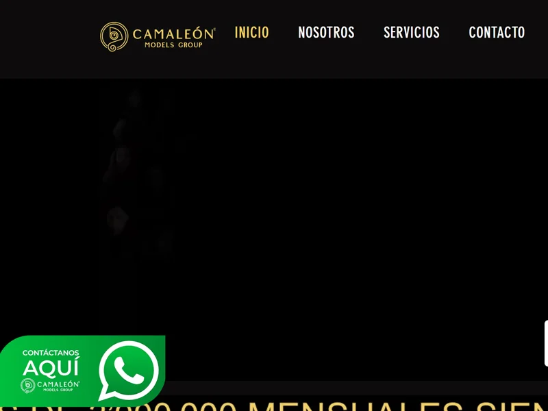 Camaleon Models Group estudio webcam en Colombia